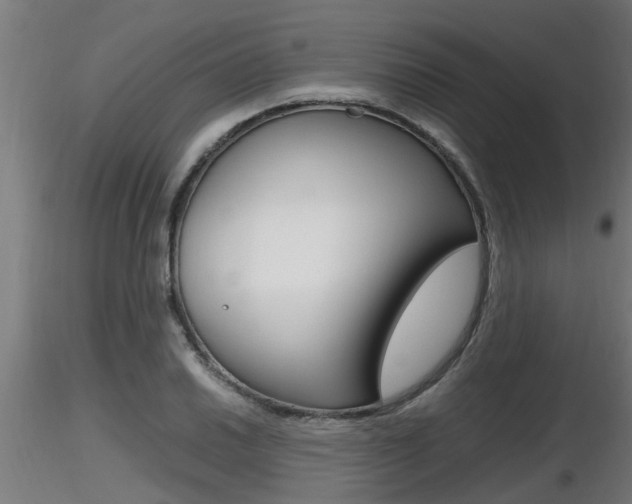 X0000116461030200912090922