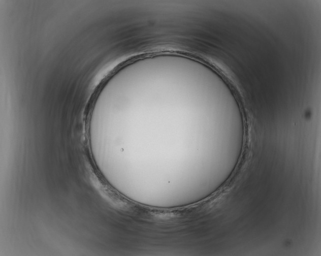 X0000116461031200912090922