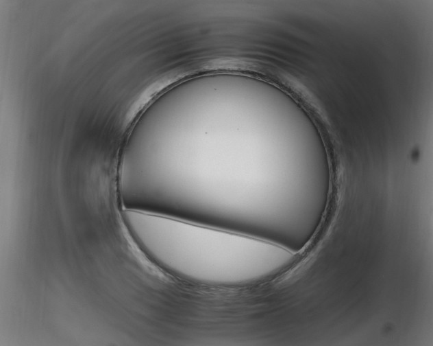 X0000116461033200912090922