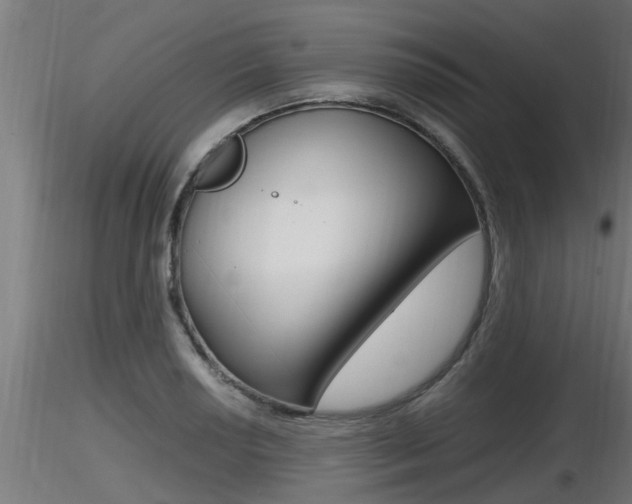 X0000116461034200912090922