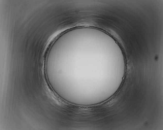 X0000116461035200912090922