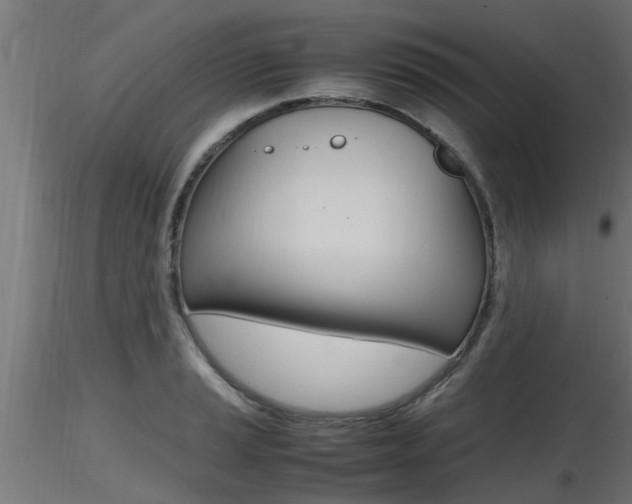 X0000116461037200912090923