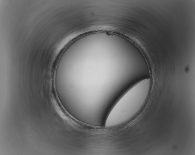X0000116461038200912090923