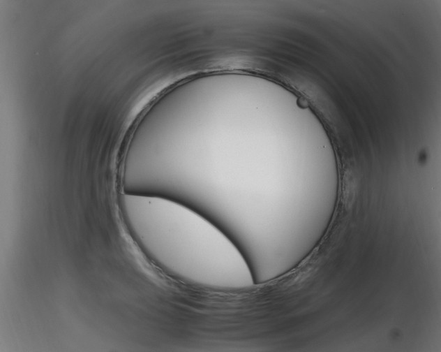 X0000116461039200912090923