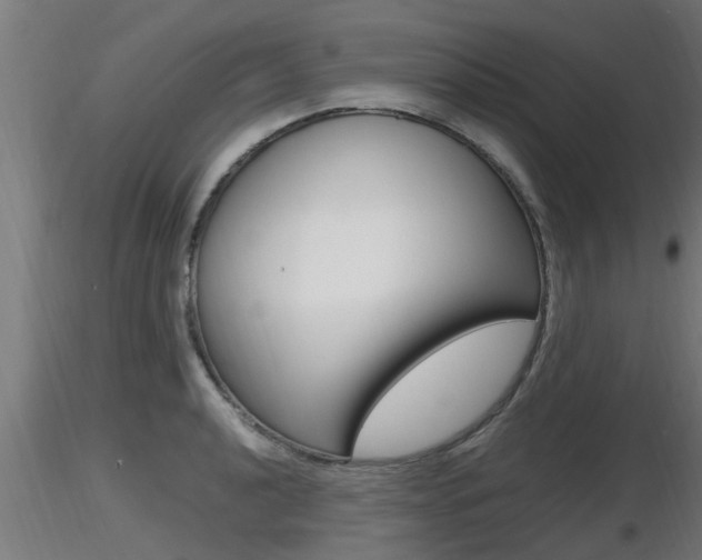X0000116461040200912090923