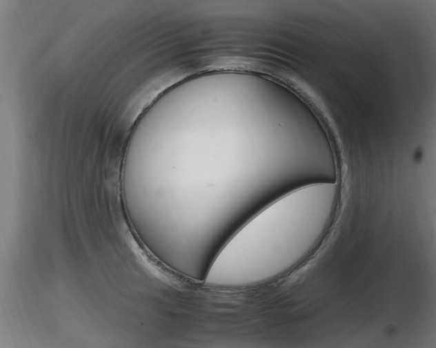 X0000116461041200912090923