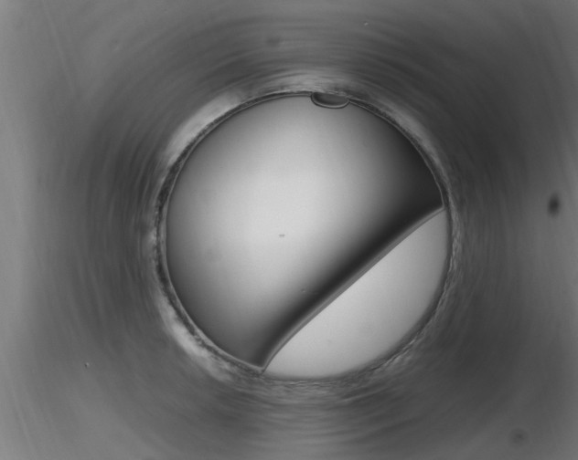 X0000116461042200912090923