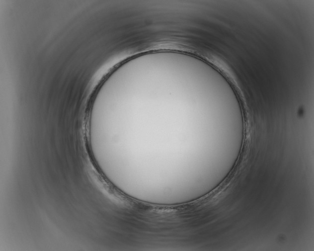 X0000116461043200912090923