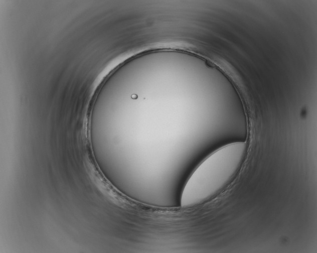 X0000116461044200912090923
