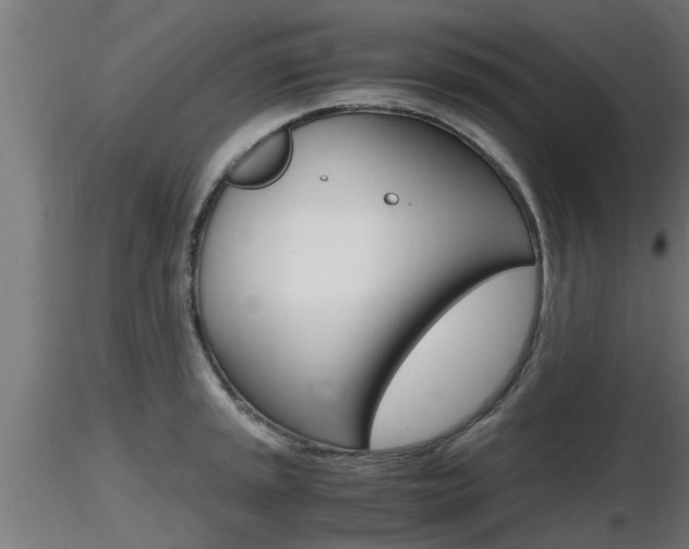X0000116461045200912090923