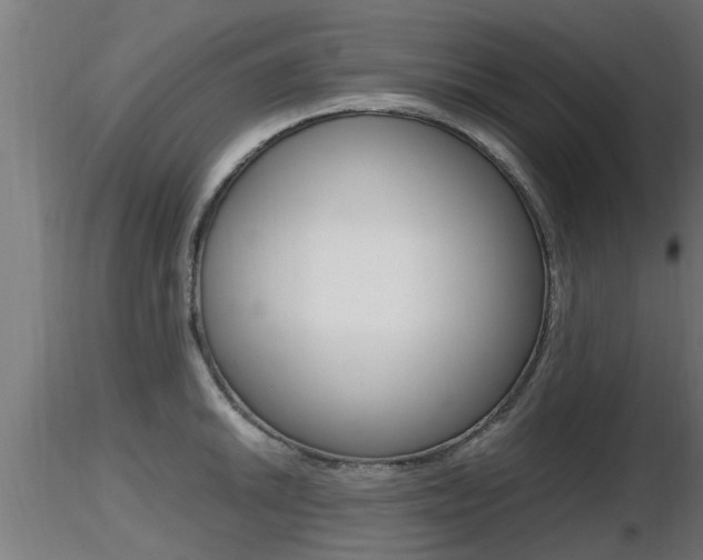 X0000116461046200912090923