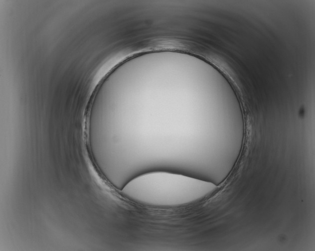 X0000116461047200912090923