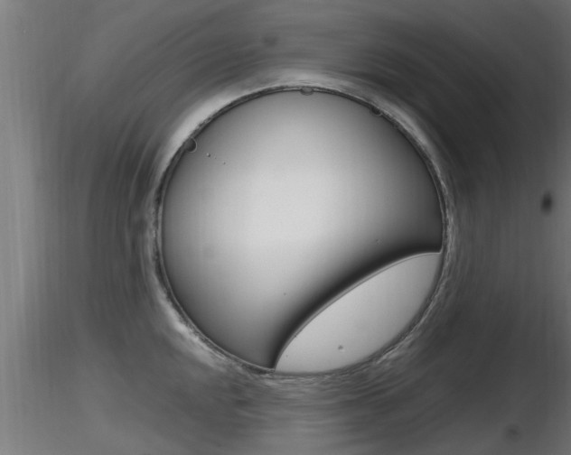 X0000116461048200912090923