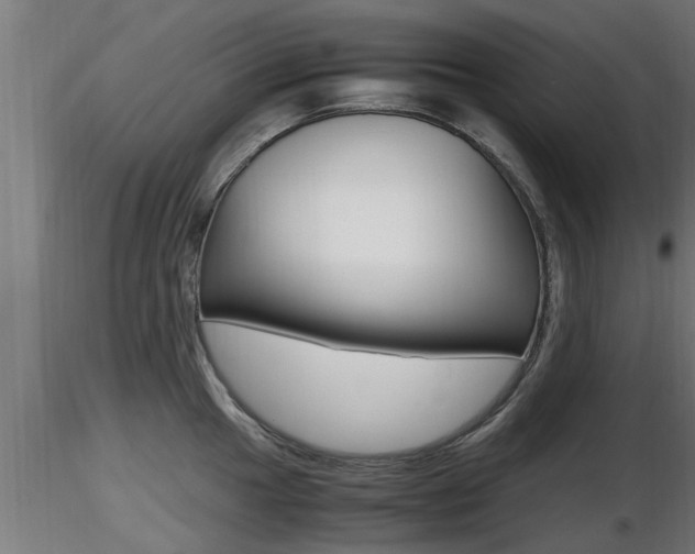 X0000116461049200912090923