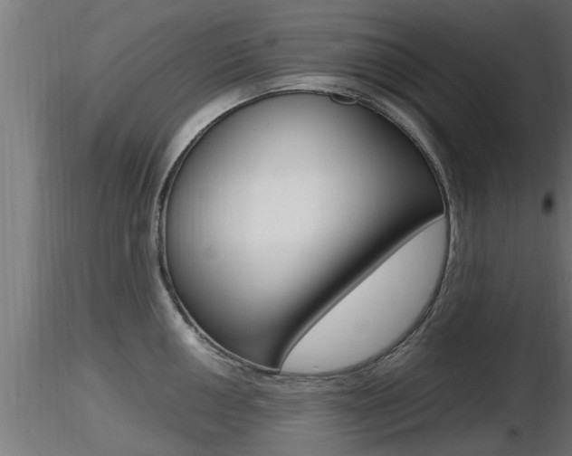 X0000116461050200912090923