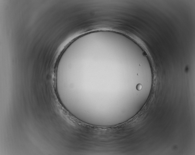 X0000116461051200912090923