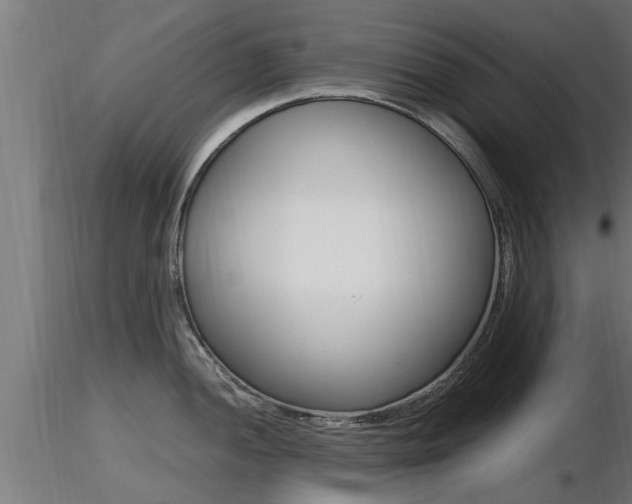 X0000116461052200912090923