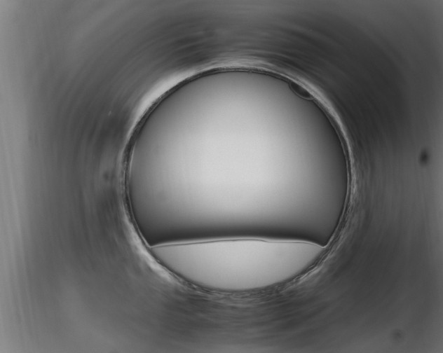 X0000116461053200912090923