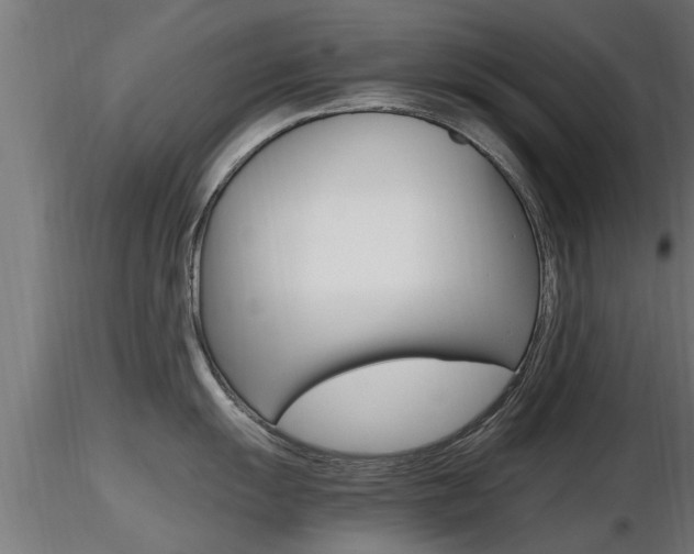 X0000116461055200912090923