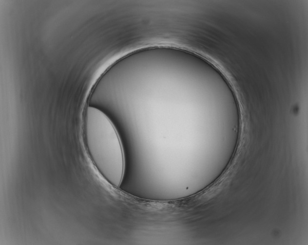 X0000116461056200912090923