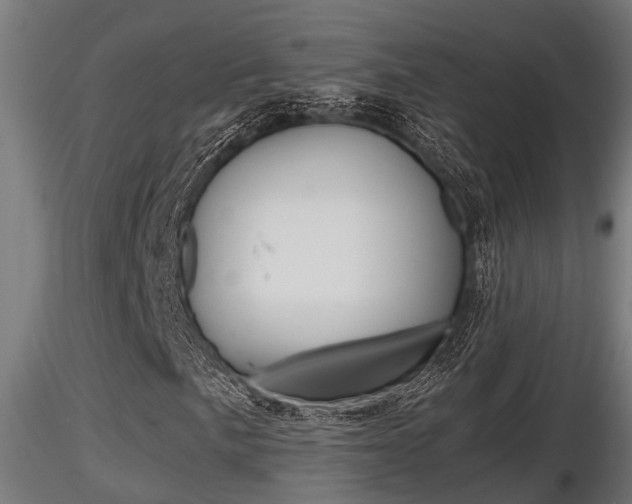 X0000116461057200912090922
