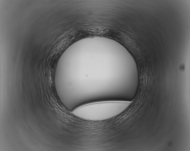 X0000116461058200912090922