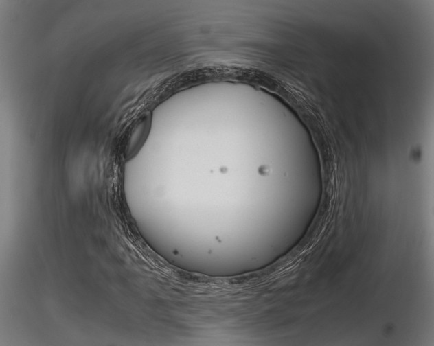 X0000116461061200912090922