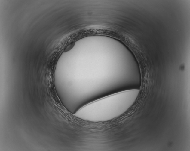 X0000116461062200912090922