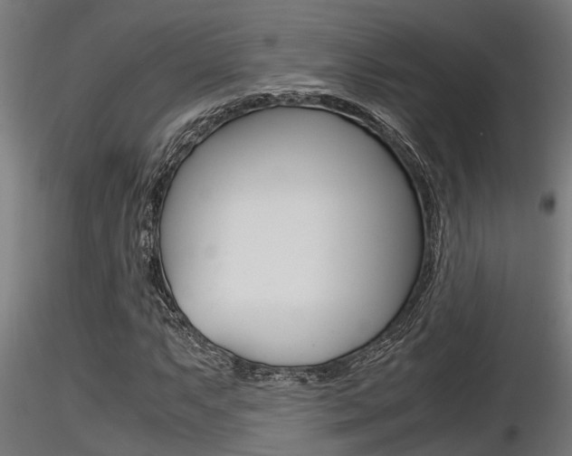 X0000116461063200912090922