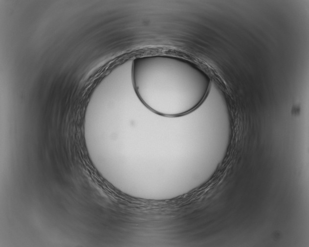 X0000116461064200912090922