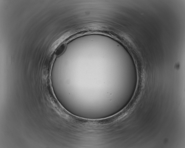 X0000116461065200912090922