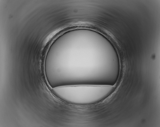 X0000116461066200912090922
