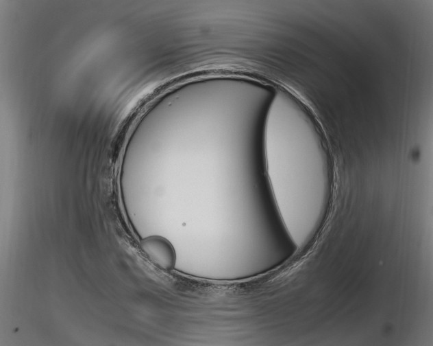 X0000116461067200912090922