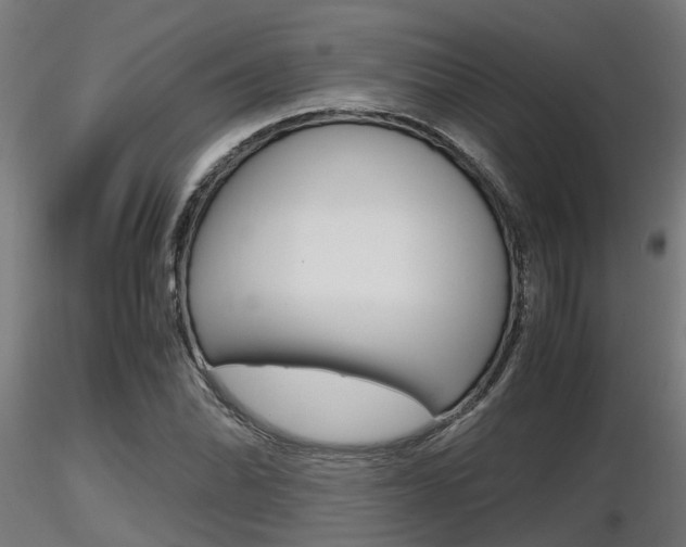 X0000116461070200912090922