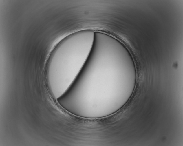 X0000116461071200912090922