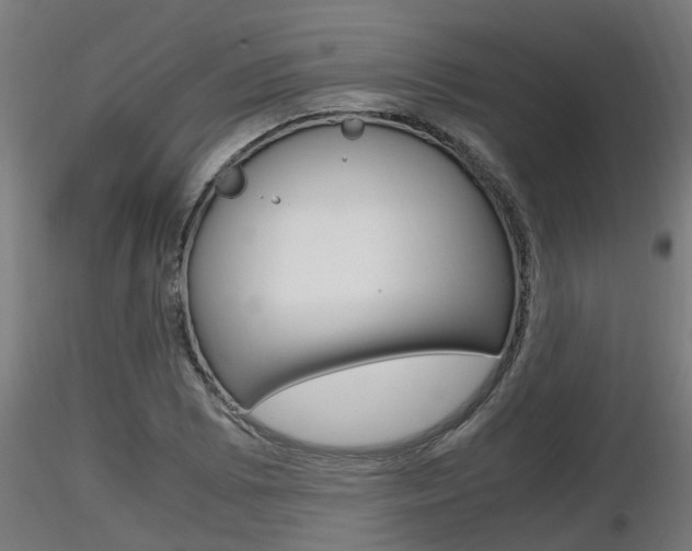 X0000116461073200912090922