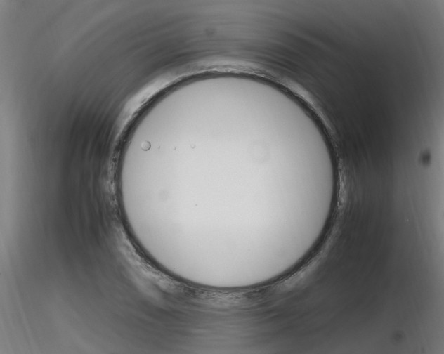 X0000116461074200912090922