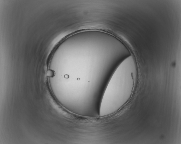 X0000116461079200912090922