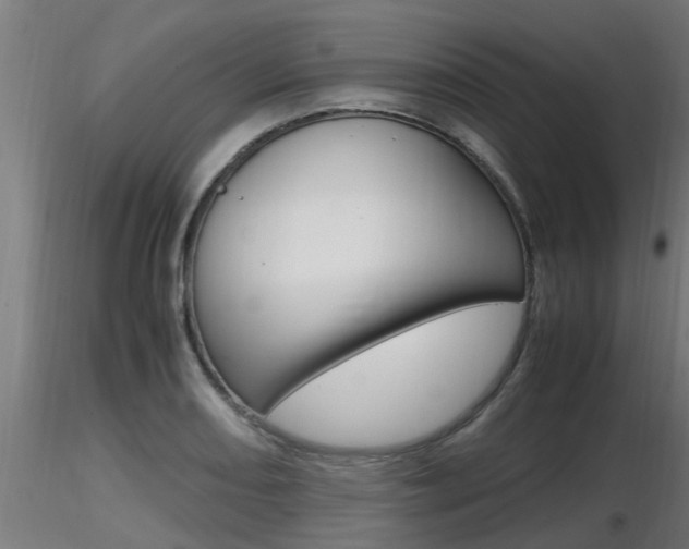 X0000116461082200912090922