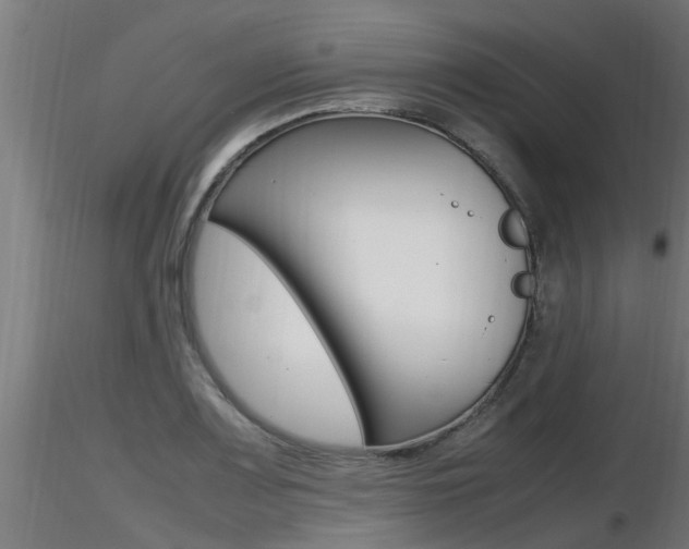 X0000116461083200912090922