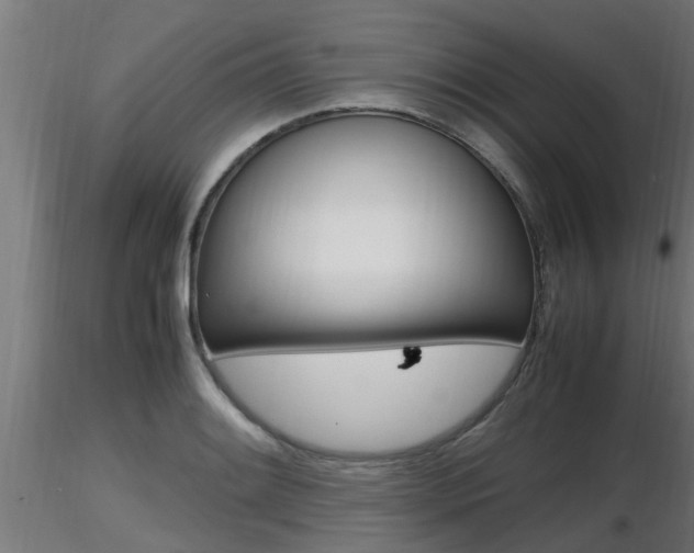 X0000116461084200912090922
