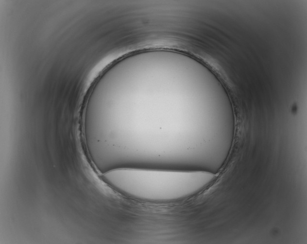 X0000116461086200912090922
