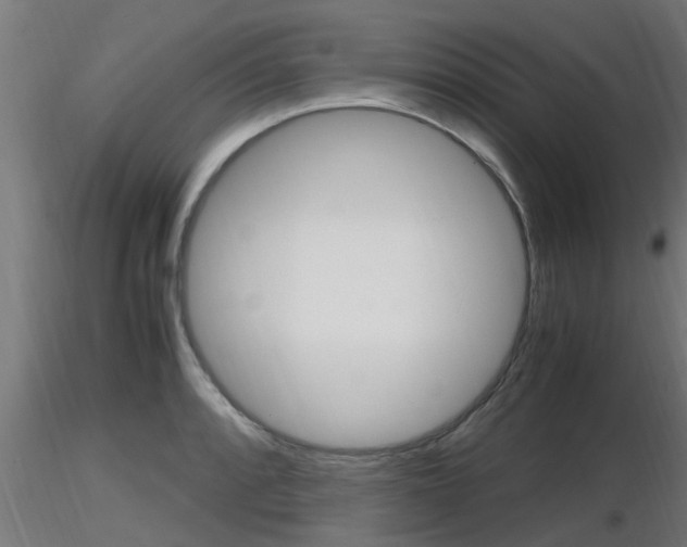 X0000116461088200912090922
