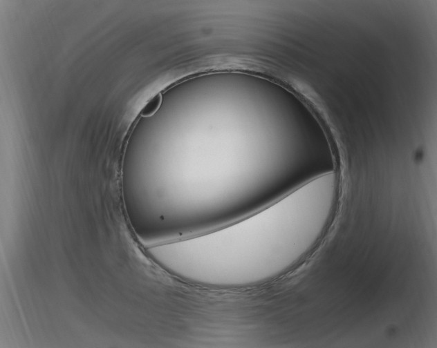 X0000116461089200912090922