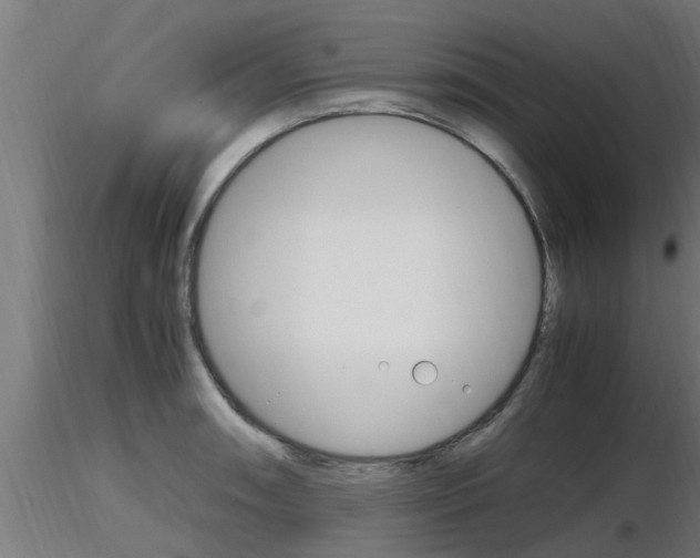 X0000116461090200912090922