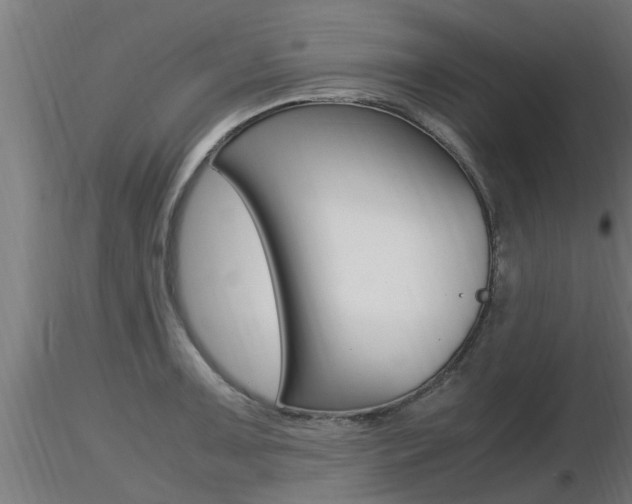 X0000116461091200912090922