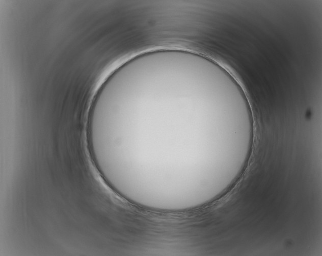 X0000116461093200912090922
