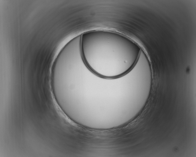 X0000116461096200912090921