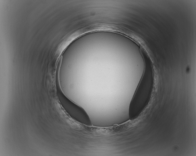 X0000116461097200912090921