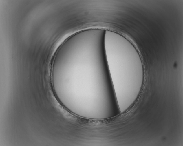 X0000116461099200912090921